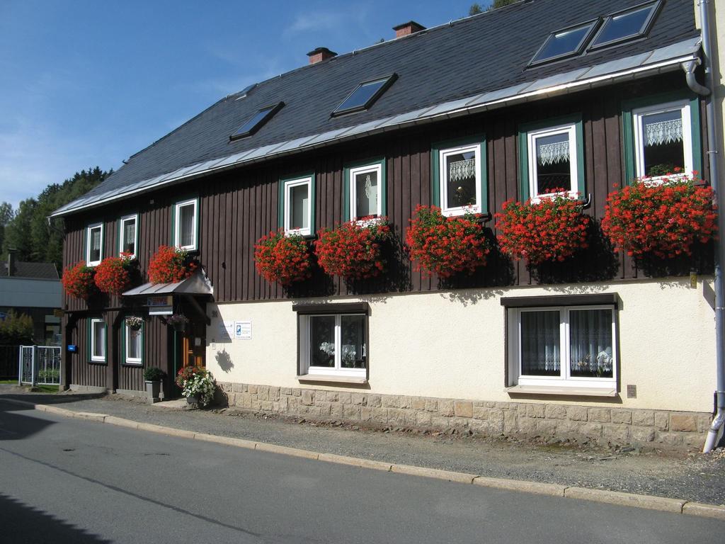 Ferienwohnung Wild Klingenthal Dış mekan fotoğraf