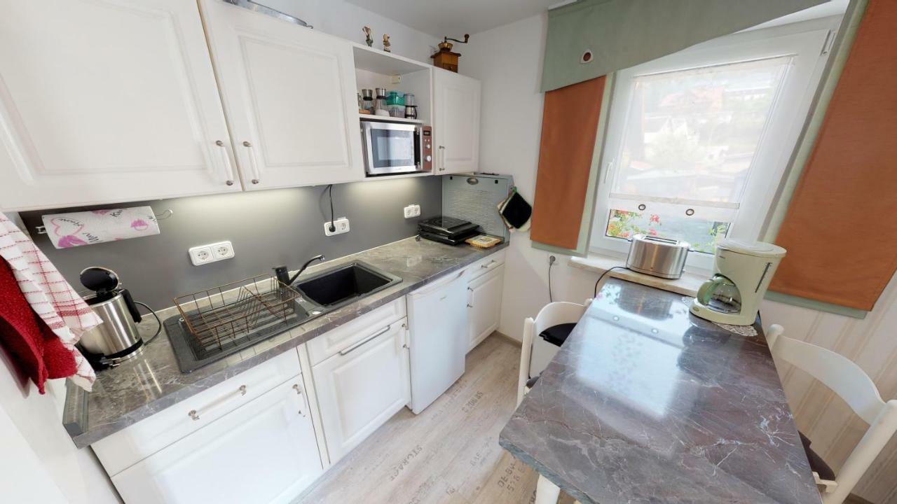 Ferienwohnung Wild Klingenthal Dış mekan fotoğraf